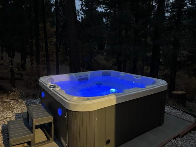 Snow Bunny Lodge - Perfect Big Bear Getaway! Deck With A New Hot Tub And Charcoal Barbecue! Big Bear Lake Exterior foto